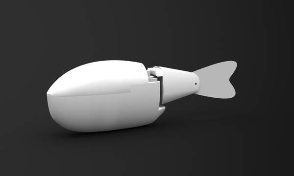 wpid-11057_pescerobot.jpg