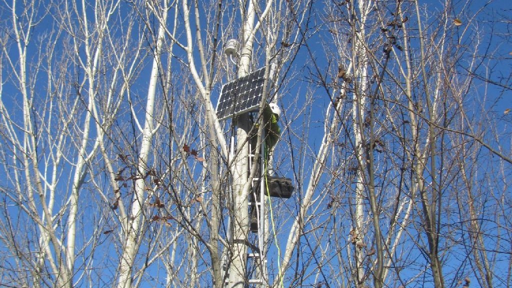 wpid-14838_emonfurlow.jpg
