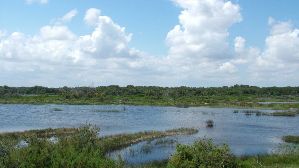 wpid-15957_biodiversita.jpg