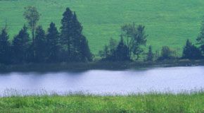 wpid-1645_river.jpg