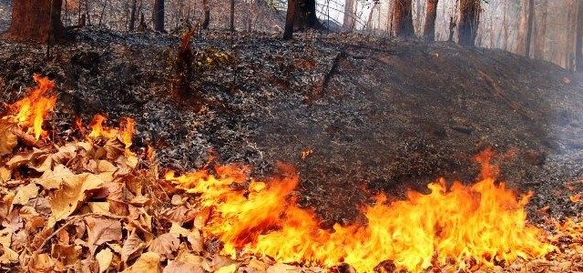 wpid-18178_incendi.jpg