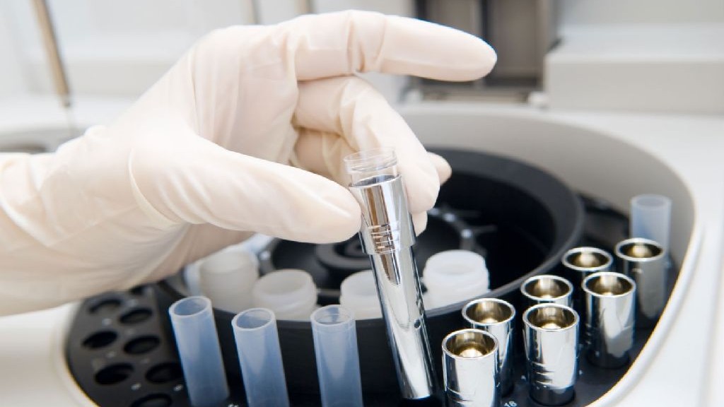 wpid-19667_biotecnologie.jpg