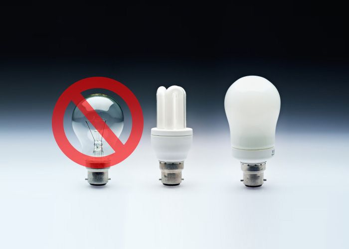 wpid-3228_bulb.jpg