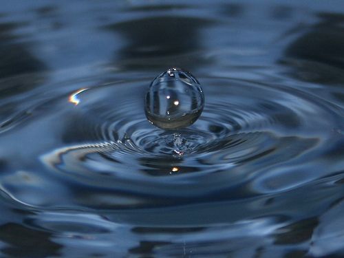 wpid-8365_acqua.jpg