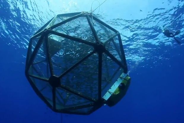 wpid-9735_aquapod.jpg